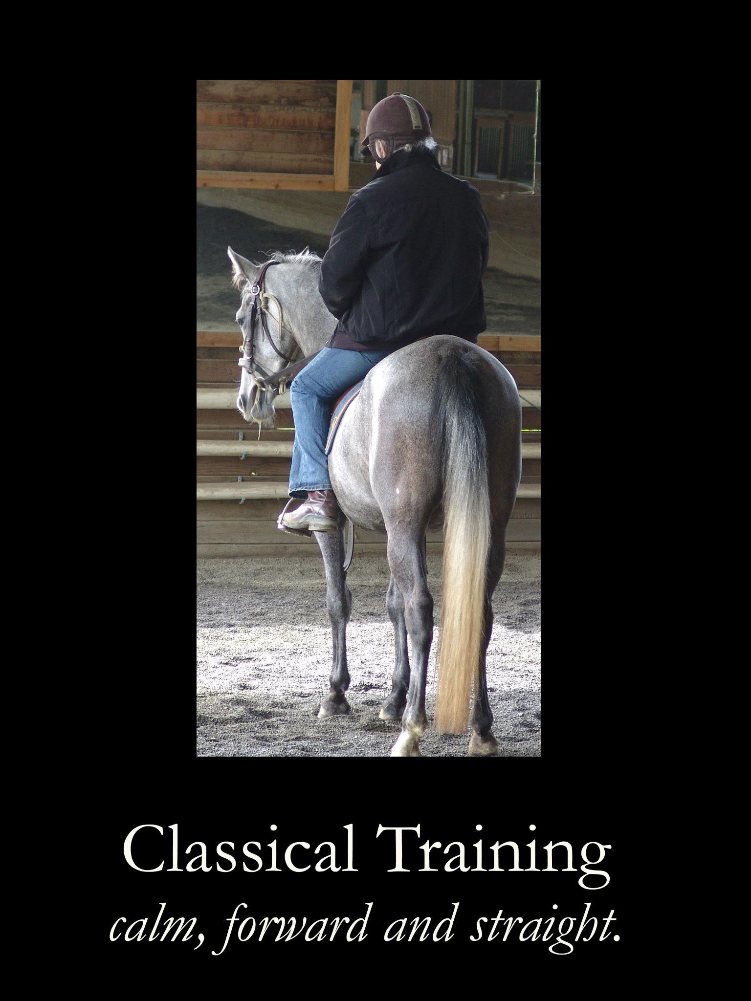 Finding it Foundation for the Equestrian Arts